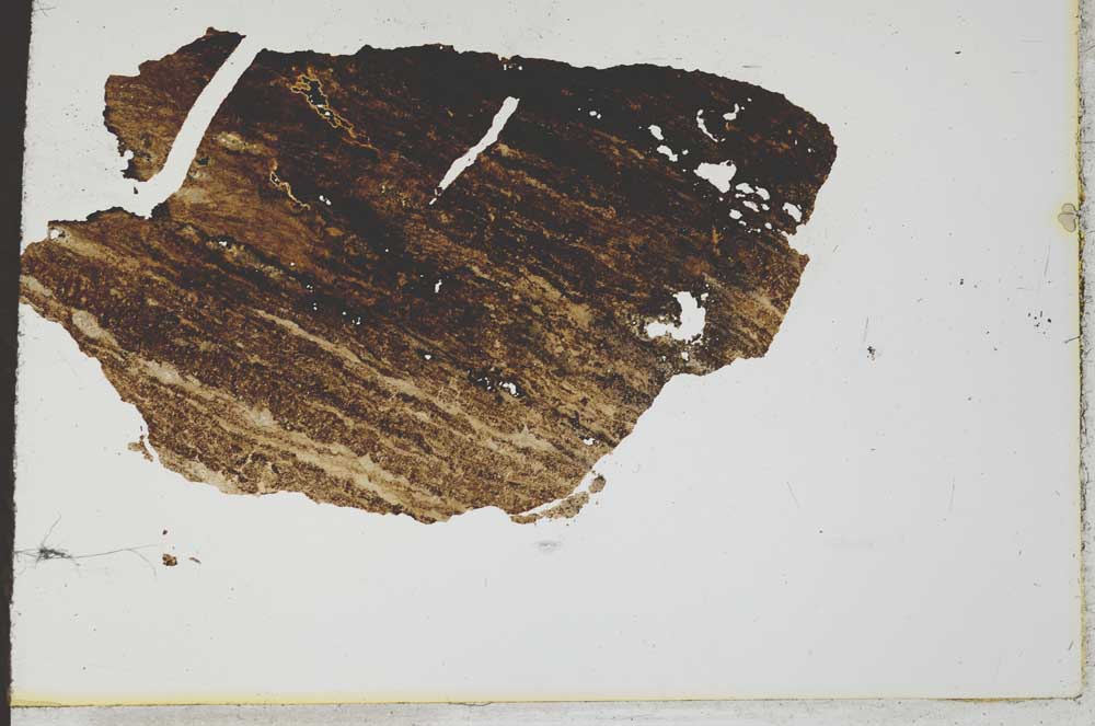 Plane Polarized, S21053