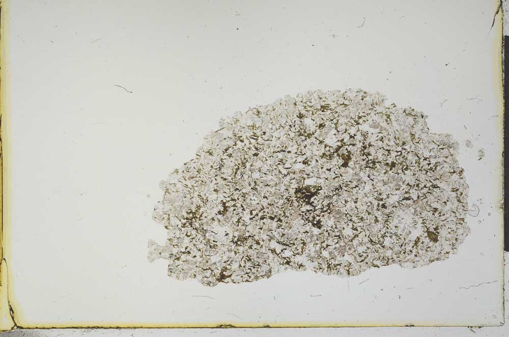 Plane Polarized, S21094