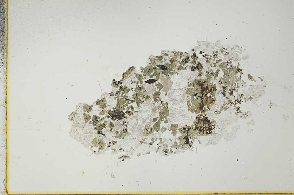 Plane Polarized, S21102