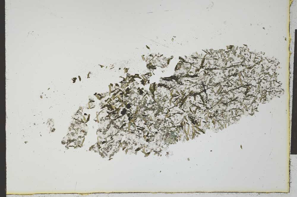 Plane Polarized, S21116