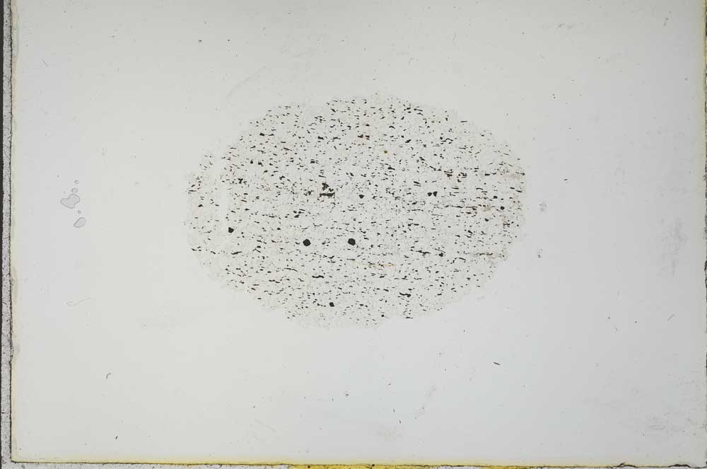 Plane Polarized, S21135