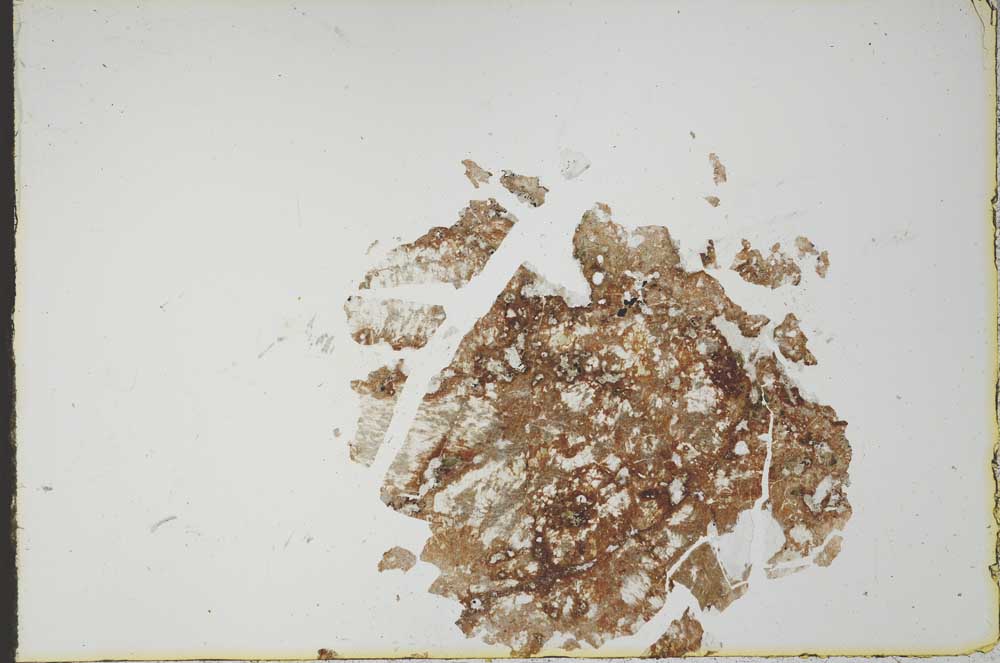 Plane Polarized, S21147
