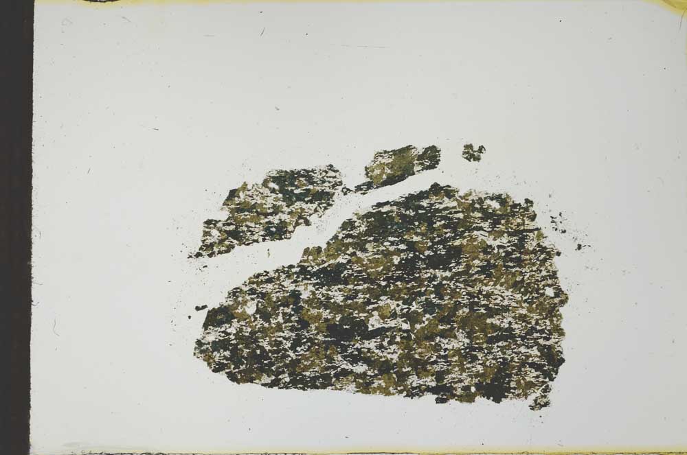 Plane Polarized, S21148