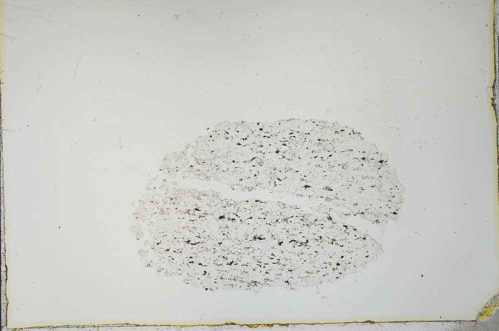 Plane Polarized, S21152