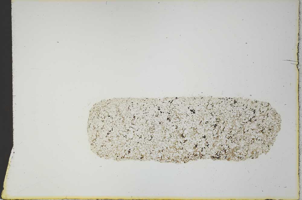 Plane Polarized, S21156