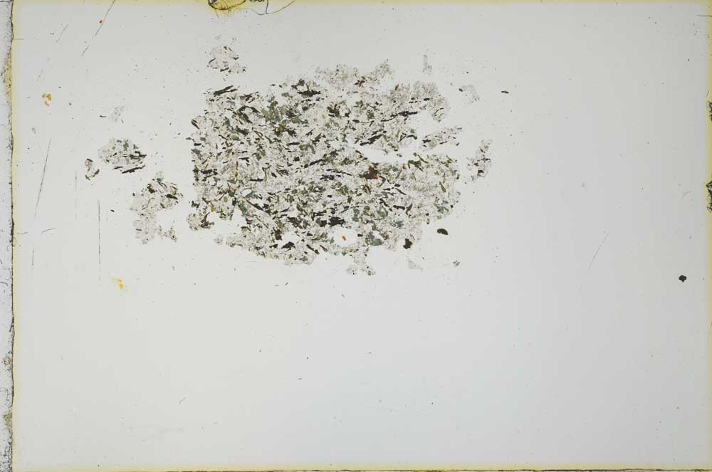 Plane Polarized, S21159