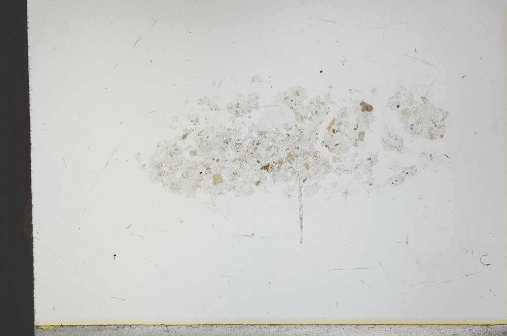 Plane Polarized, S21166