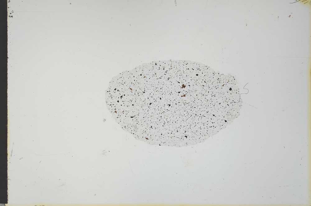 Plane Polarized, S21170