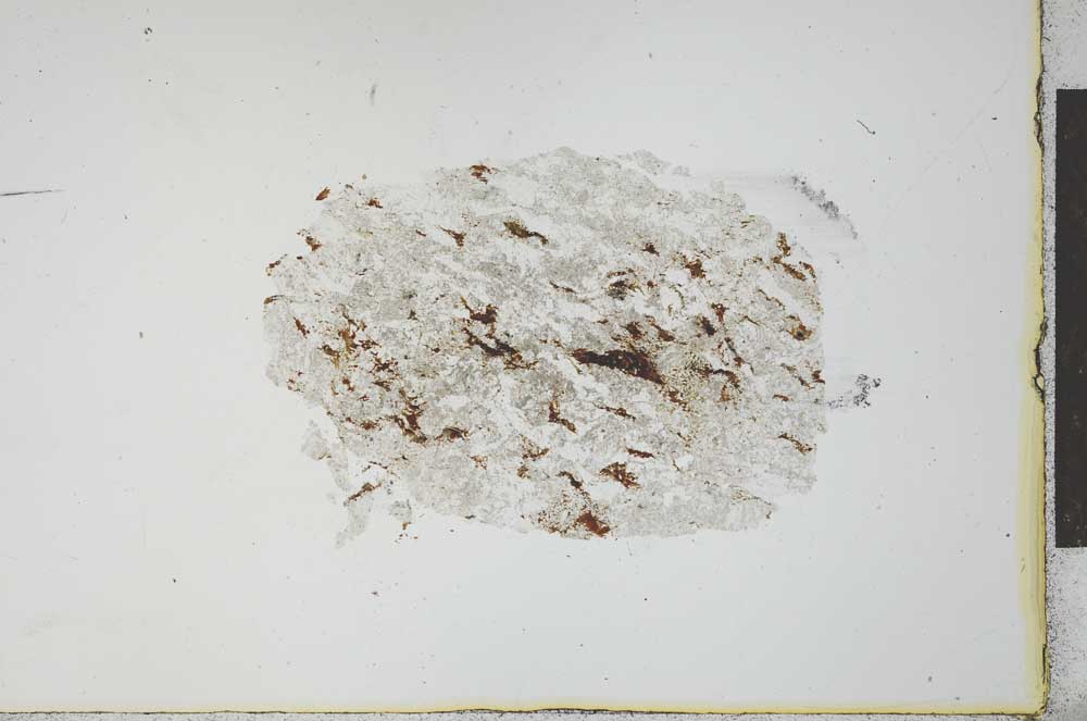 Plane Polarized, S21172