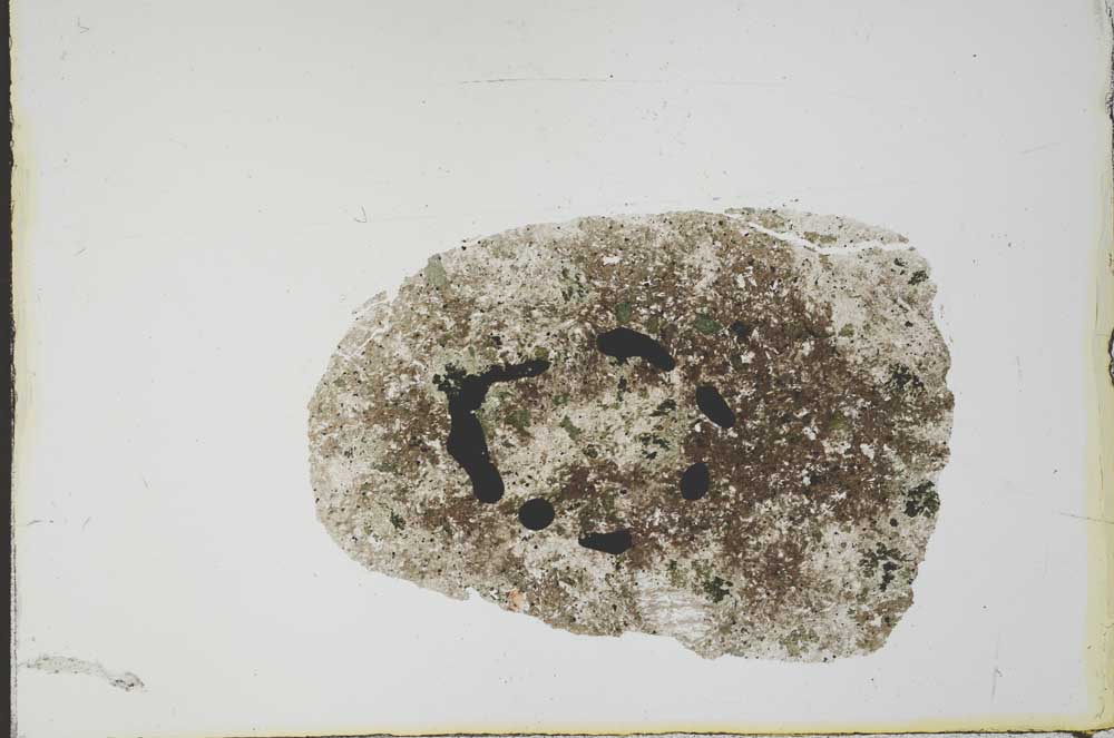 Plane Polarized, S21173