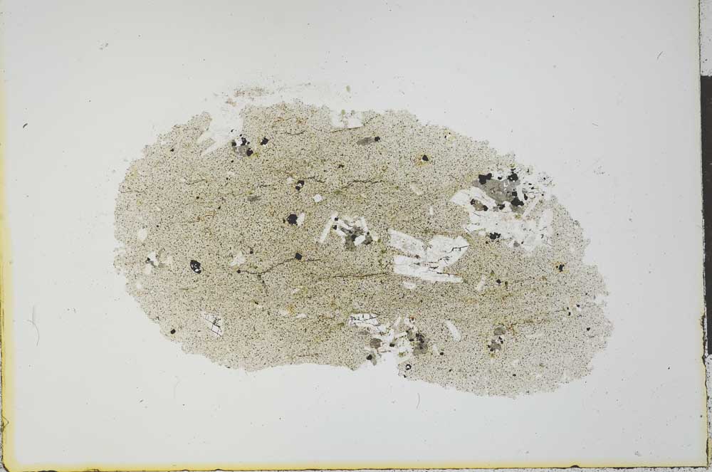 Plane Polarized, S21175