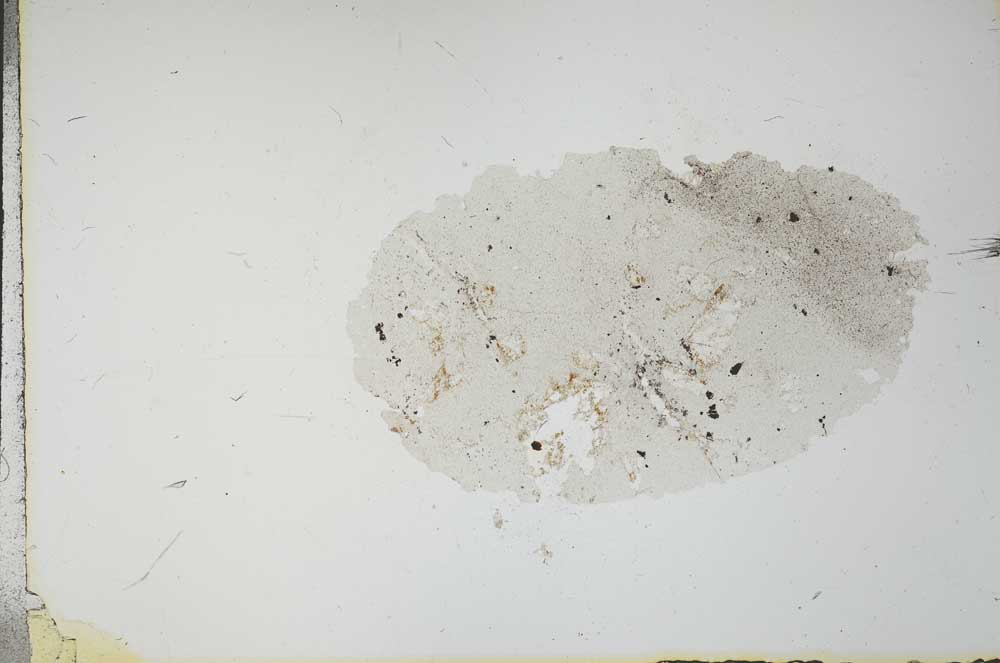 Plane Polarized, S21177