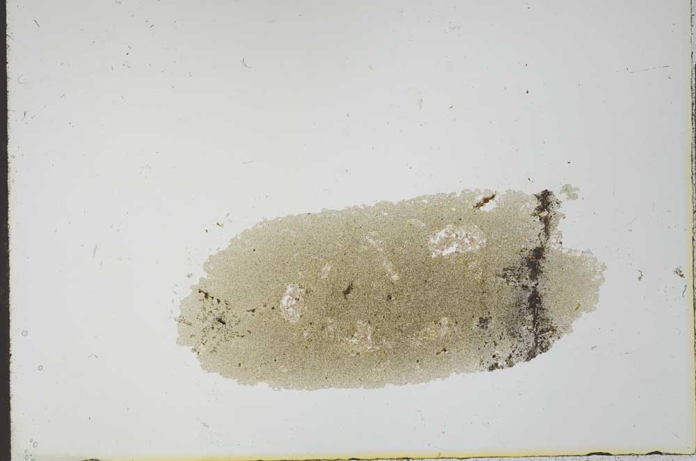 Plane Polarized, S21178