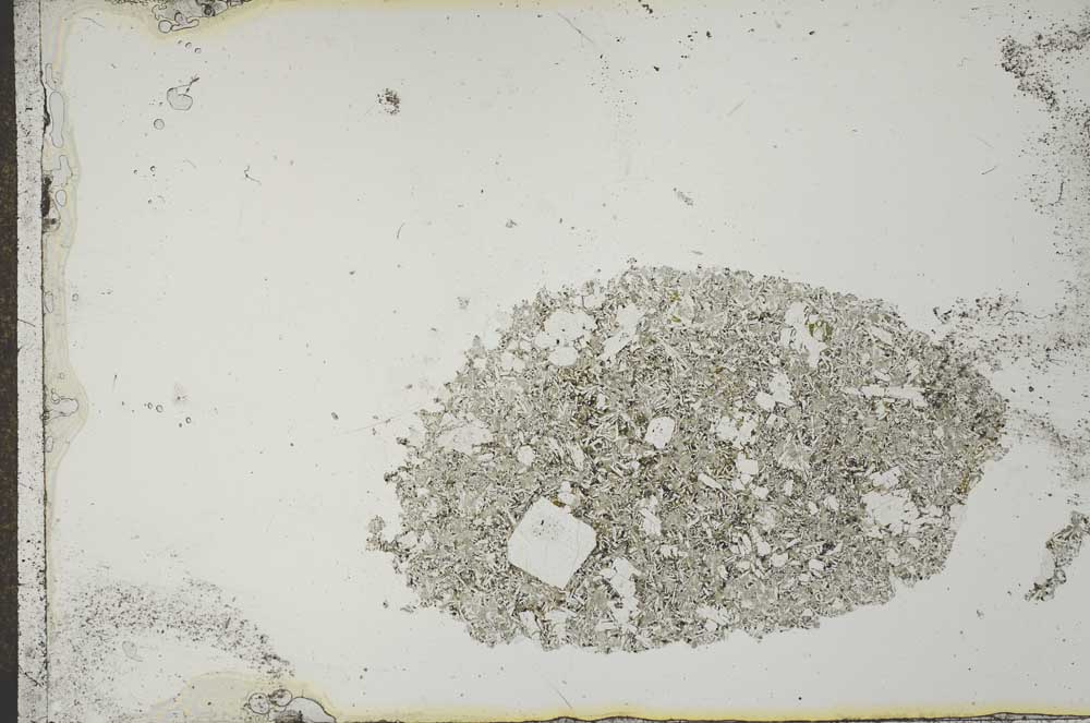 Plane Polarized, S21208