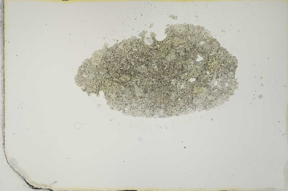 Plane Polarized, S21211