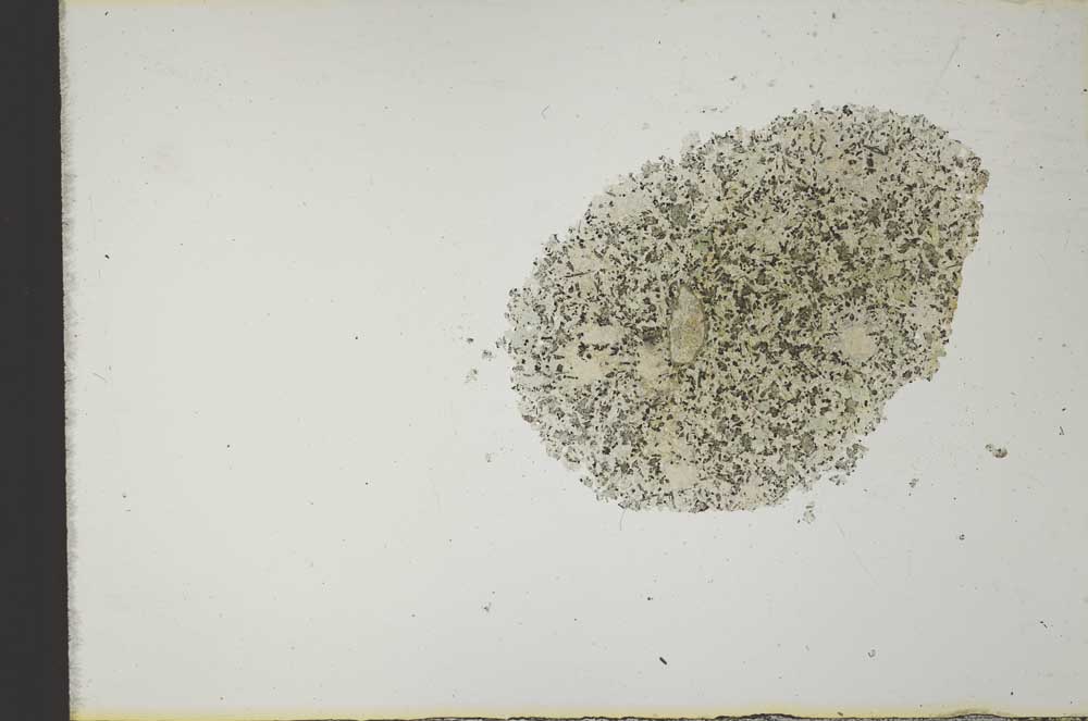 Plane Polarized, S21212