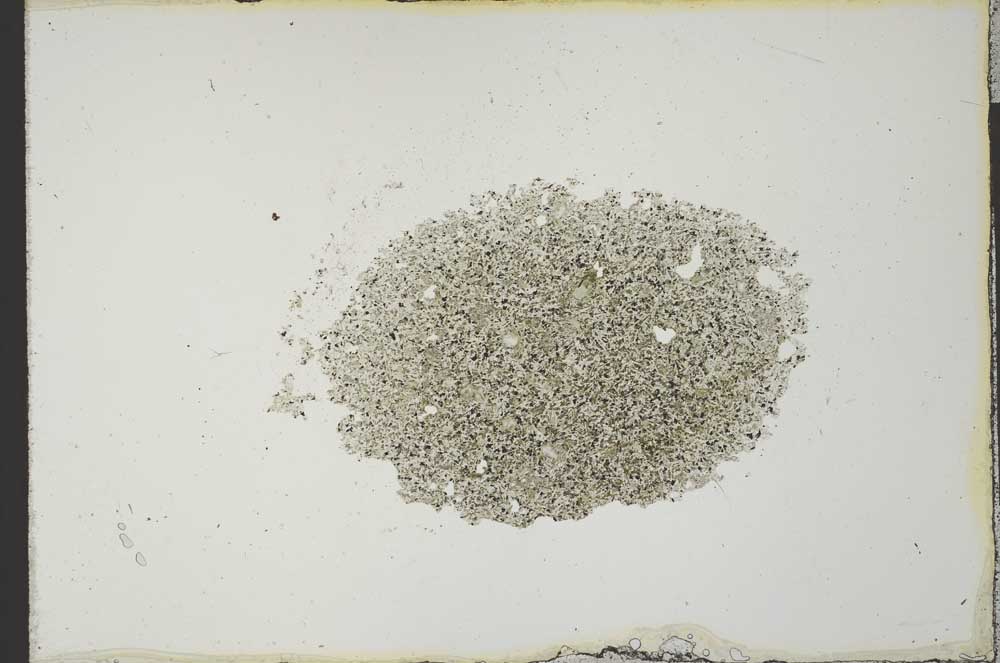 Plane Polarized, S21214