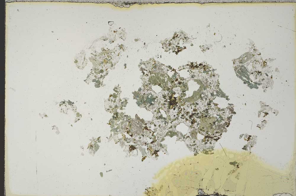 Plane Polarized, S21217