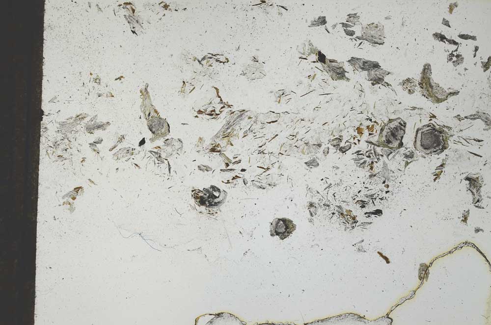 Plane Polarized, S21228