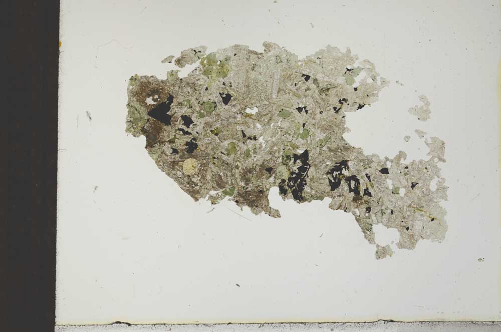 Plane Polarized, S21231