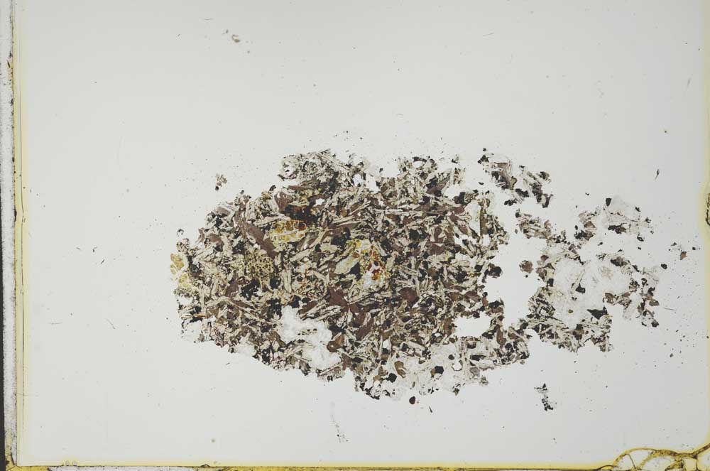 Plane Polarized, S21258