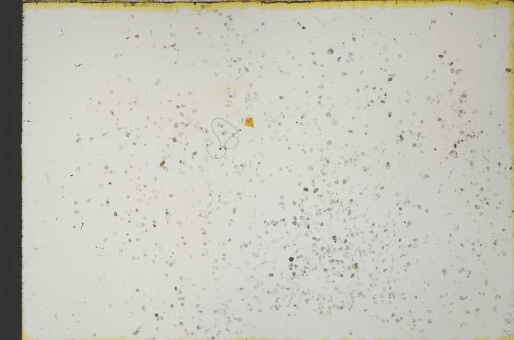 Plane Polarized, S21276