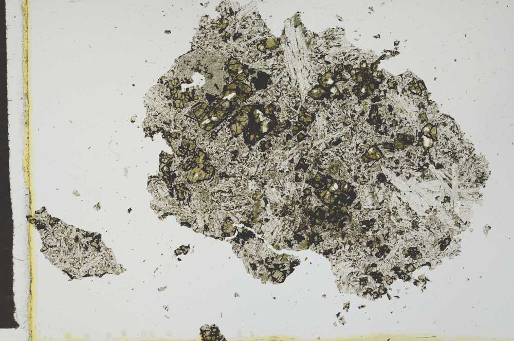 Plane Polarized, S21288