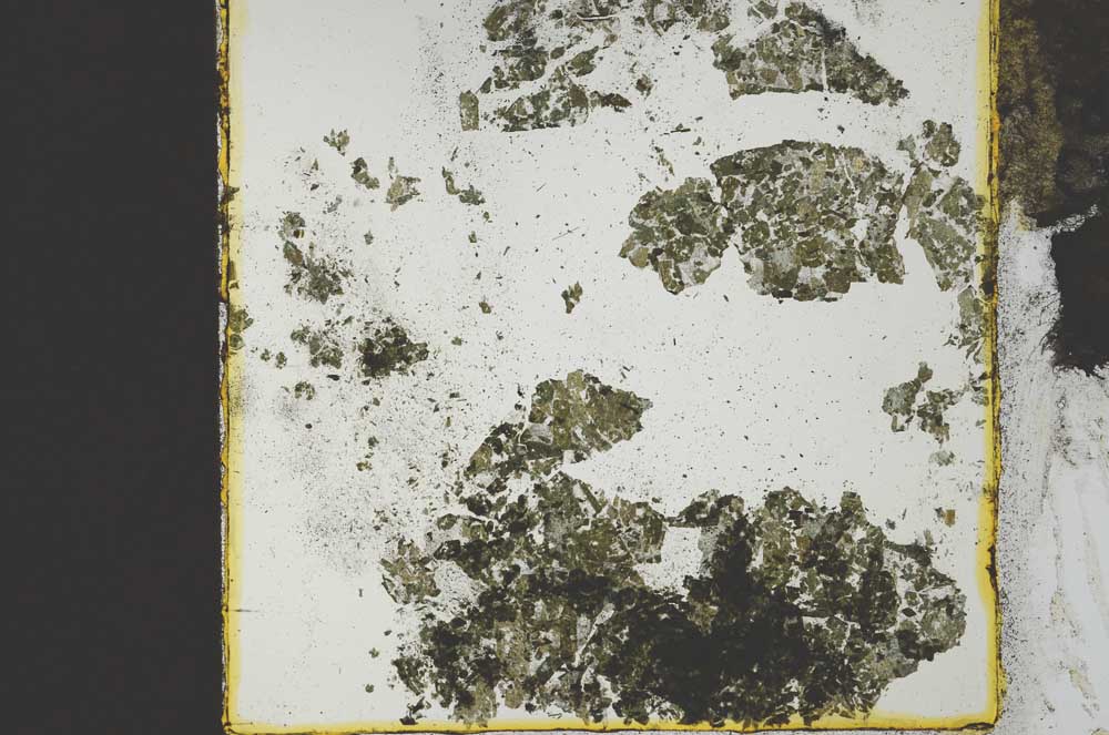 Plane Polarized, S21345