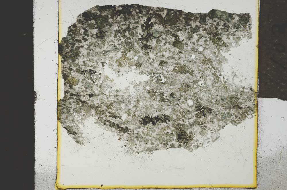 Plane Polarized, S21346