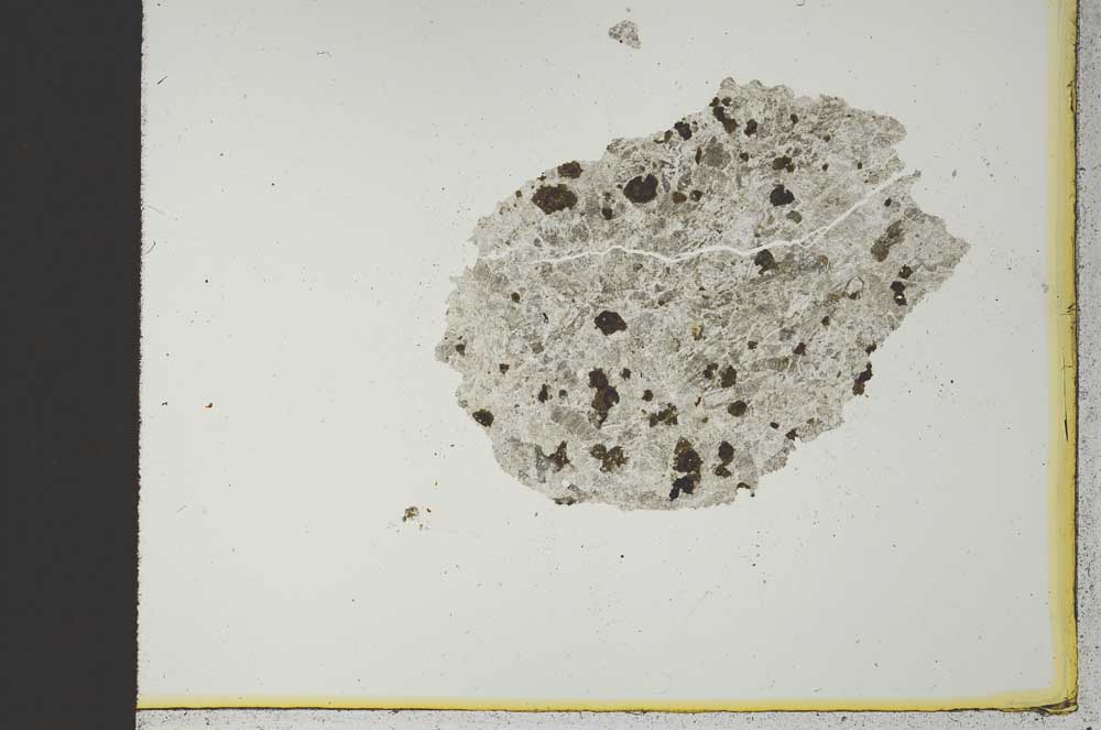 Plane Polarized, S21347