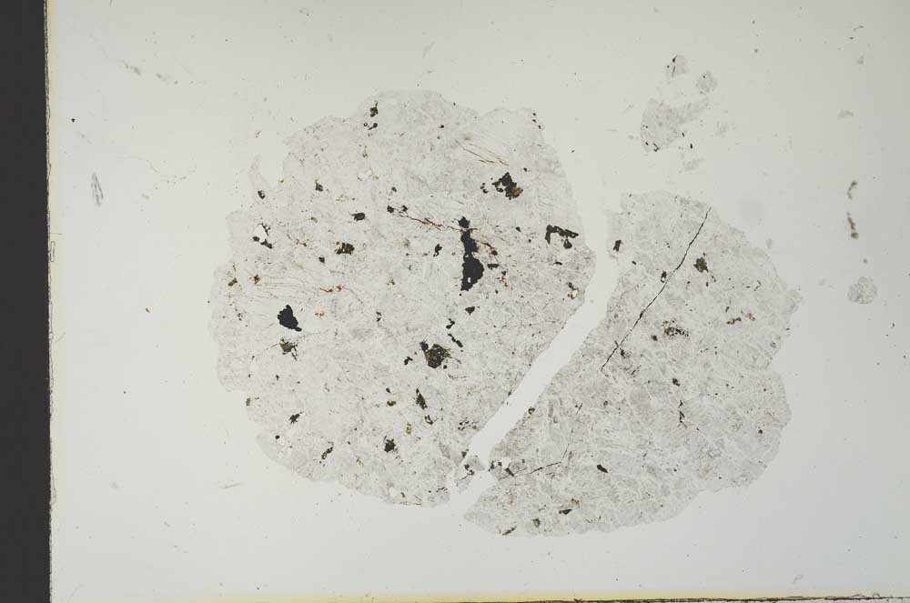 Plane Polarized, S21349/A