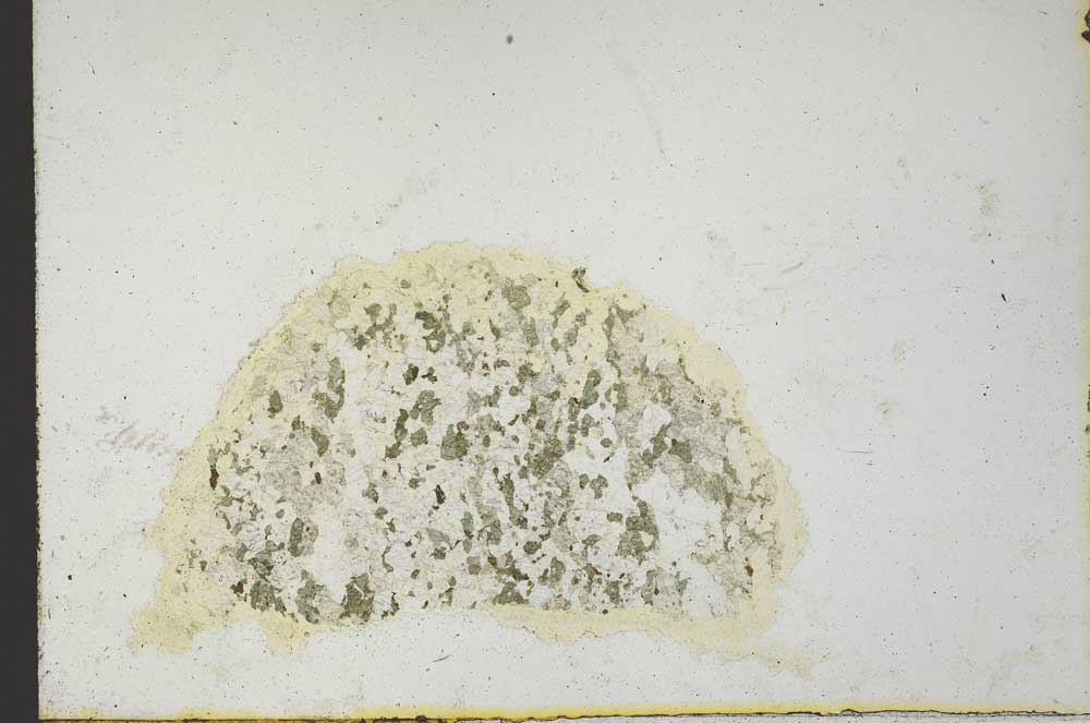 Plane Polarized, S21396