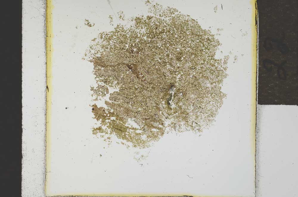 Plane Polarized, S21419