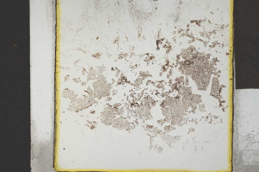 Plane Polarized, S21422