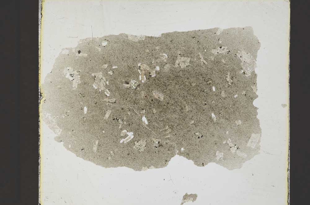 Plane Polarized, S21428