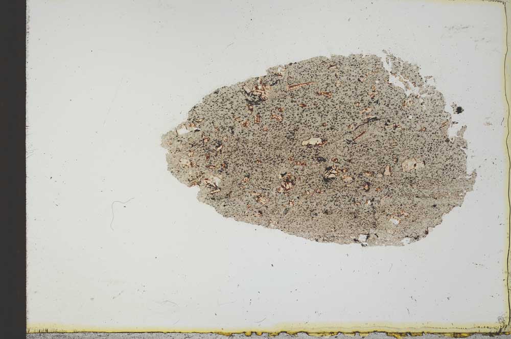 Plane Polarized, S21527