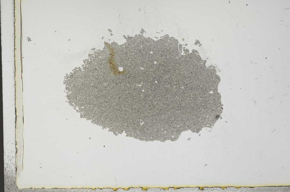 Plane Polarized, S21529