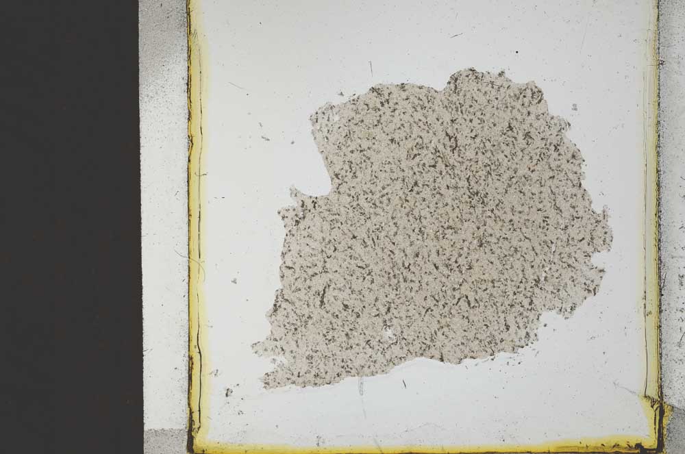 Plane Polarized, S21535