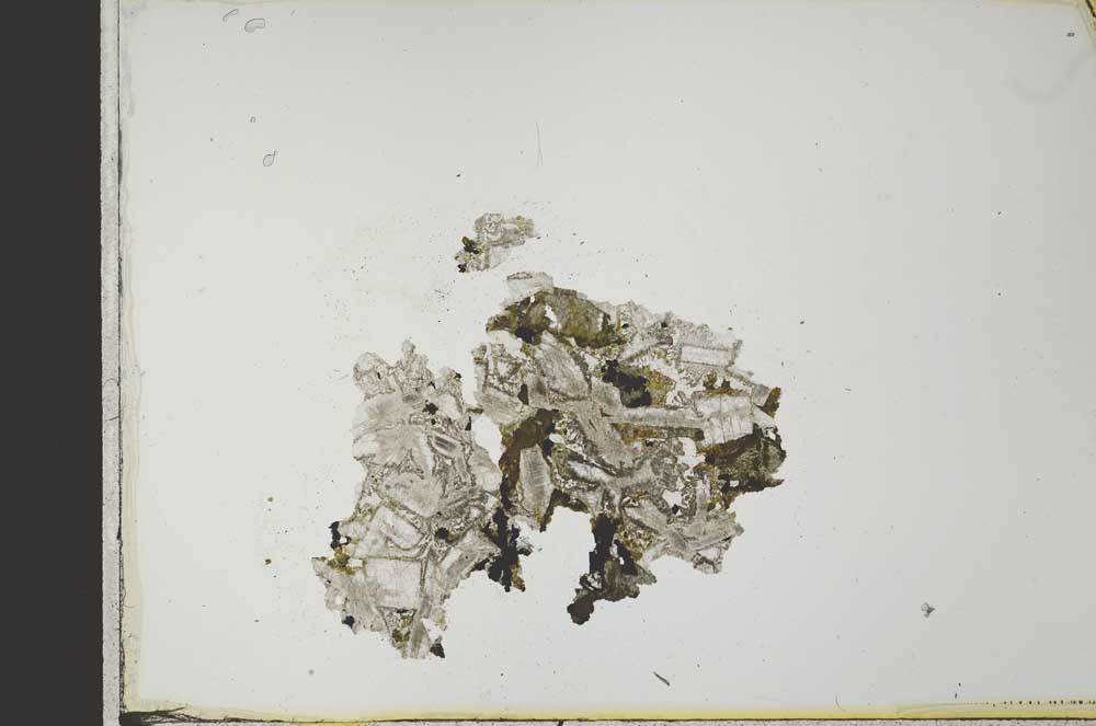 Plane Polarized, S21573