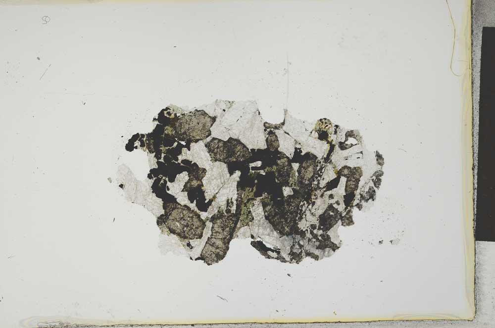 Plane Polarized, S21580