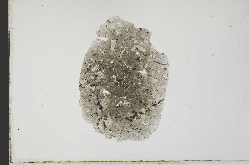 Plane Polarized, S21581