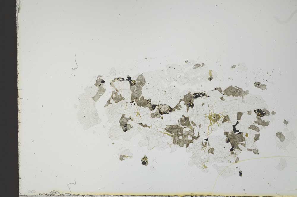 Plane Polarized, S21590