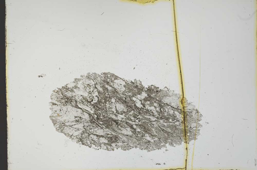 Plane Polarized, S21614