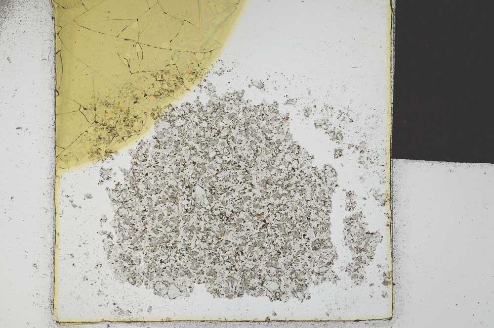 Plane Polarized, S21618