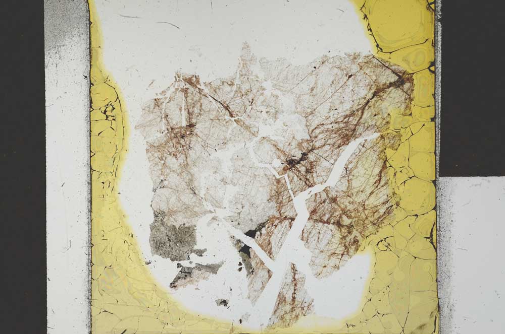 Plane Polarized, S21643