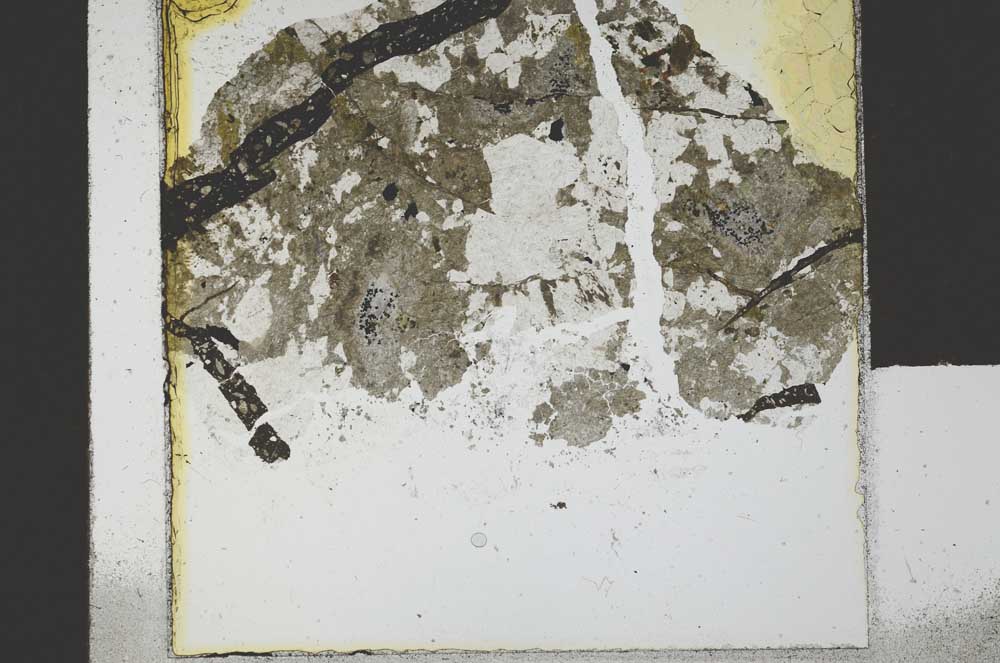 Plane Polarized, S21660