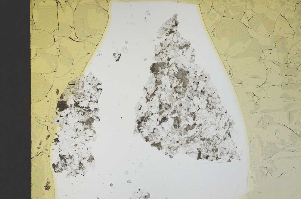 Plane Polarized, S21662