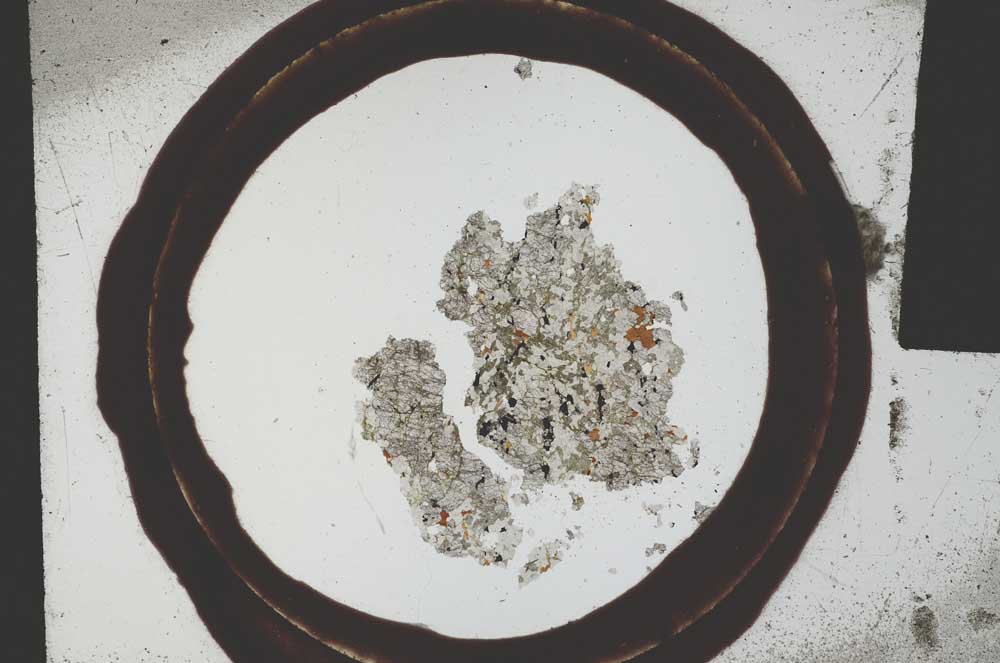 Plane Polarized, S21670