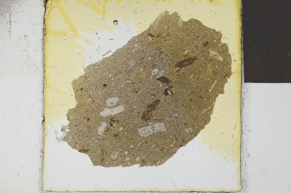 Plane Polarized, S21672