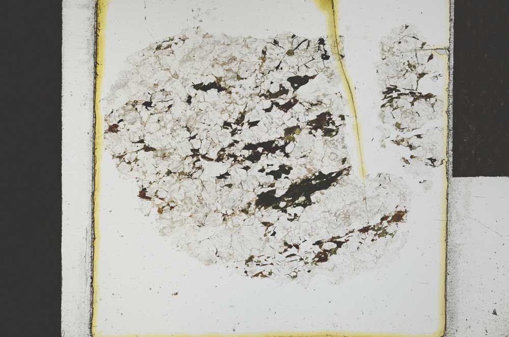 Plane Polarized, S21674